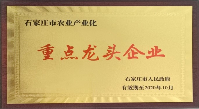 石家莊市農業(yè)產業(yè)化重點龍頭
